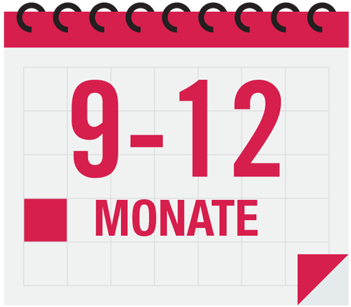 9 - 12 Monate